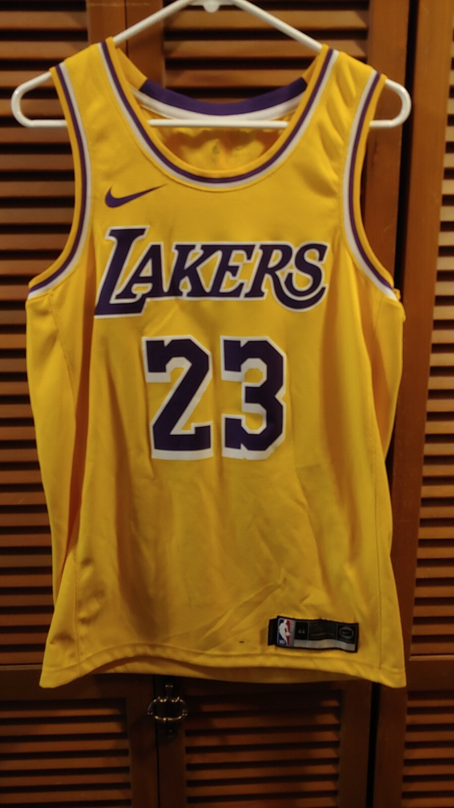 lebron james icon edition swingman