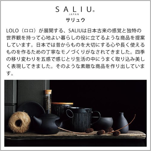Tokoname Teapot LOLO Rolo 360ml Porcelain Teapot Mino Ware Made in From Japan - Bild 13 von 14