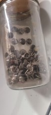 Hammered Head Antique Brass Decorative Upholstery Tacks / Nails True Antique