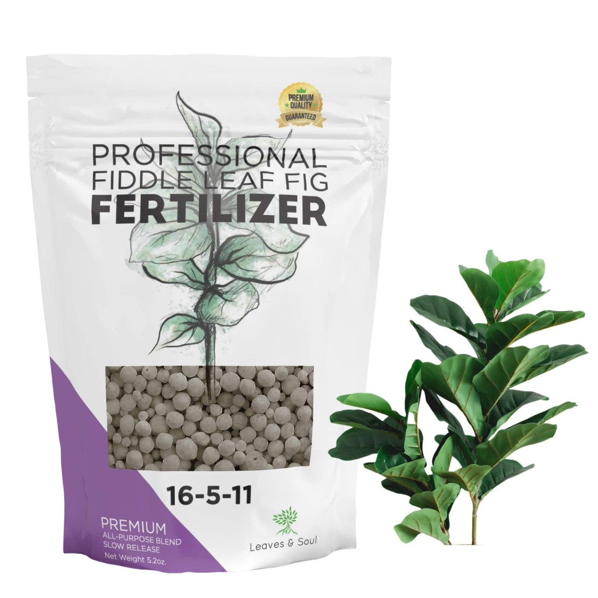 Fiddle Leaf Fig and House Plant Fertilizer Pellets |16-5-11 Slow Release |  eBay