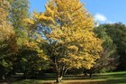 Foto 5 di 12