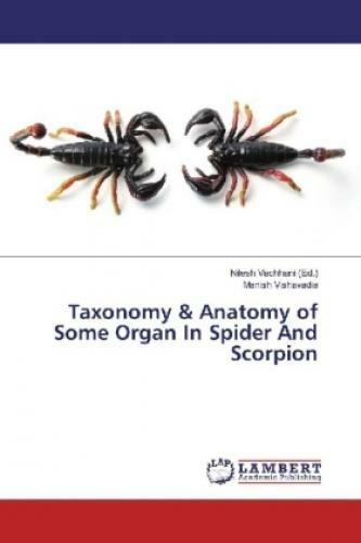 Thumbnail - Taxonomy & Anatomy Of Some Organ In Spider And Scorpion 3530