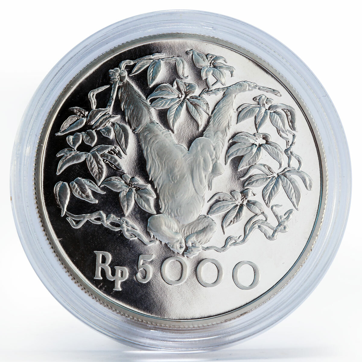 Indonesia 5000 Rupiah Orangutan Animal proof silver coin 1974 | eBay