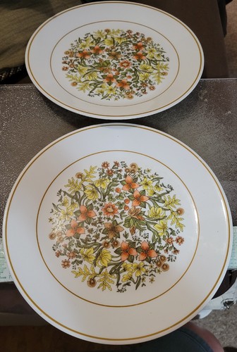 Corelle Indian Summer 10 1/4" Dinner Plates Set of 2
