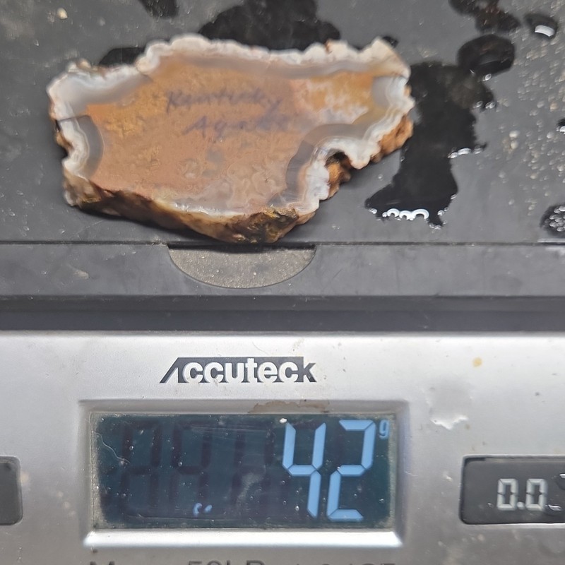 Beautiful Banded Kentucky Agate Slab Slice Lapidary  42g