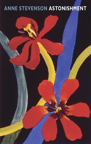 Изумление Энн Стивенсон (в мягкой обложке) (ИМПОРТ ИЗ Великобритании)