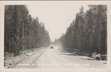 Highway 16 Big Horn Lodgepole Pines Wyoming WY 1940s RPPC Postcard