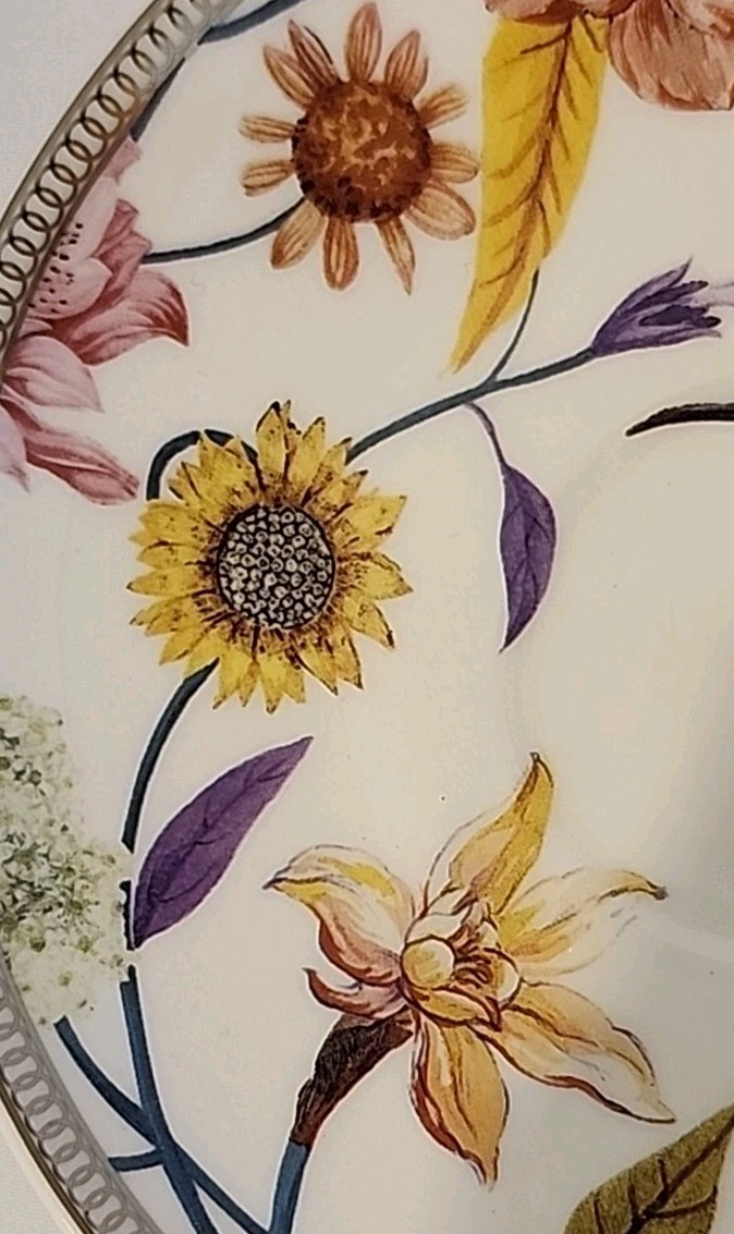 Grace’s Teaware Daisy and Bird Tea Cup and Saucer Set Floral 4oz Discontinued EC