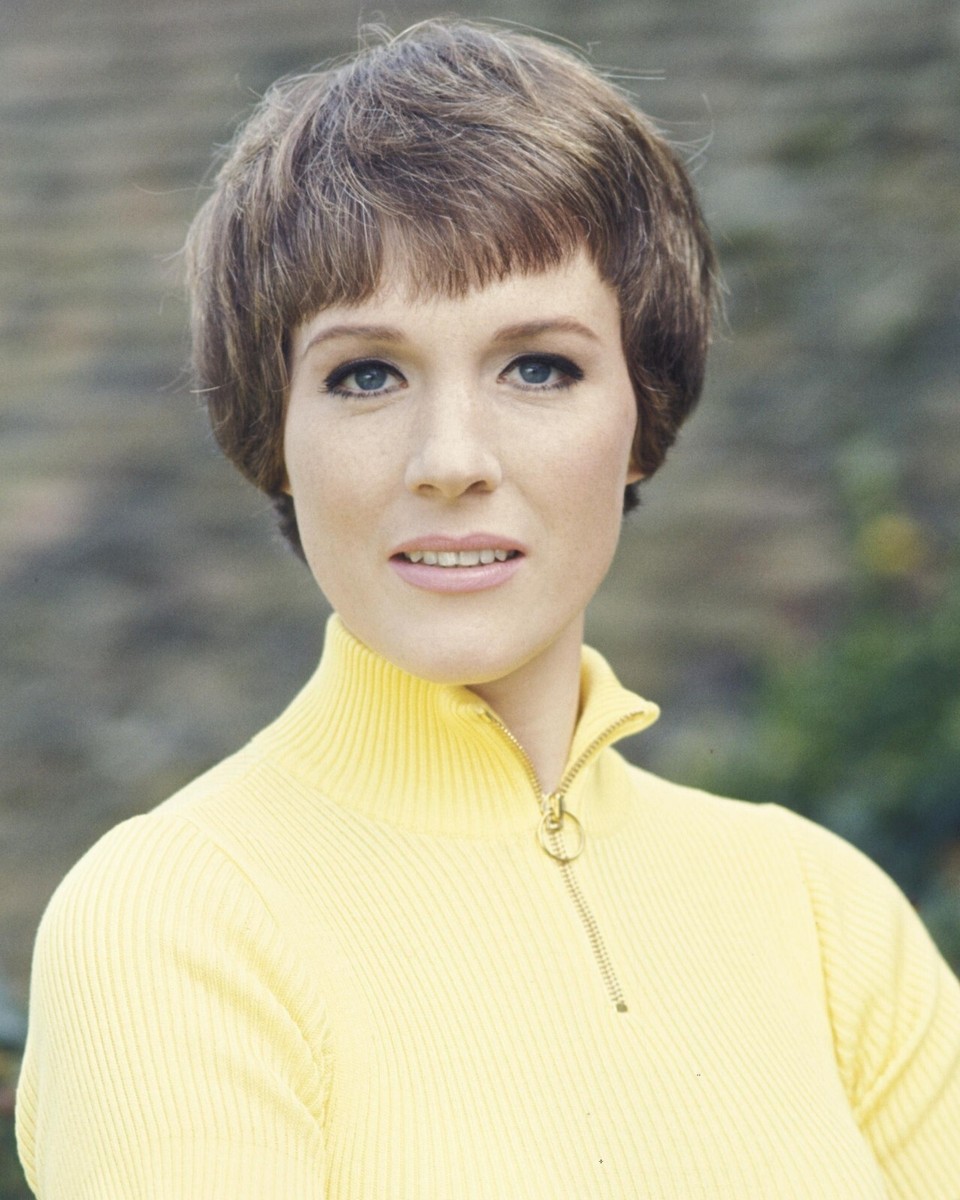 La Famille De Julie Andrews