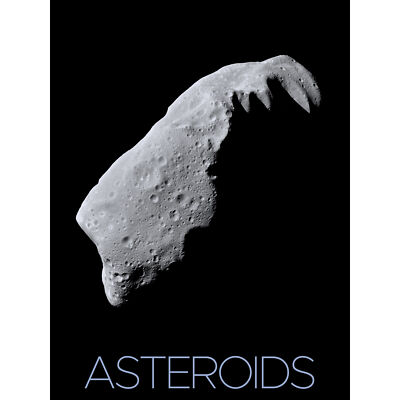 NASA Asteroid 243 Ida Space Poster XL Wandbild Leinwandbild riesig