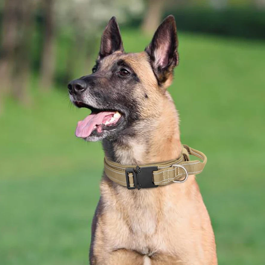 Collar de perro grande de nailon de alta resistencia táctico de 2" de ancho militar con hebilla de metal Foto 2 de 4