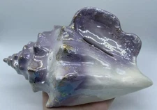 Rare Vintage Conch Shell Wall Pocket California Pottery?