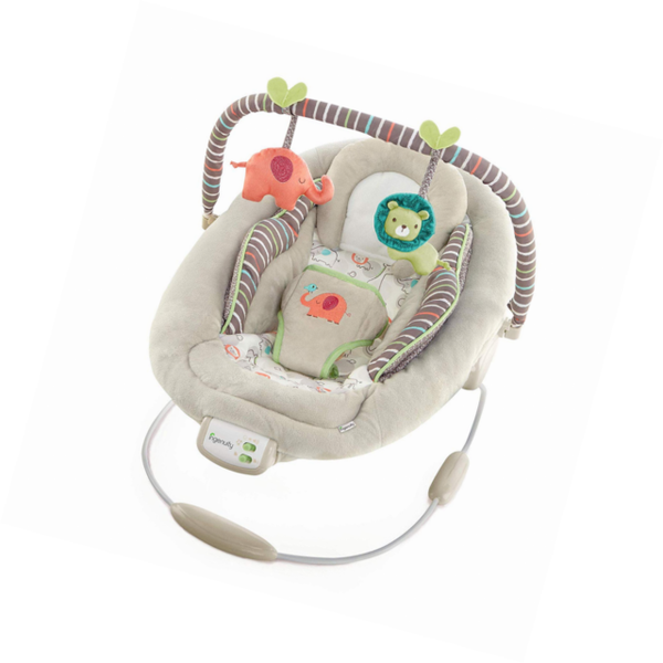 ingenuity comfort and harmony bouncer