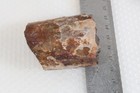 Fossil Pierre Shale Sutured Baculite Ammonite 3.8 oz rough lot Q — photo 7