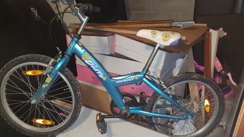 Jaffy Giant Bike kids 20'' wheels | eBay