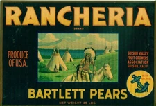 RANCHERIA BRAND: Bartlett Pears Crate  Label Sign - FRAMED WITH GLASS