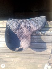 black nuumed griffin numnah pony