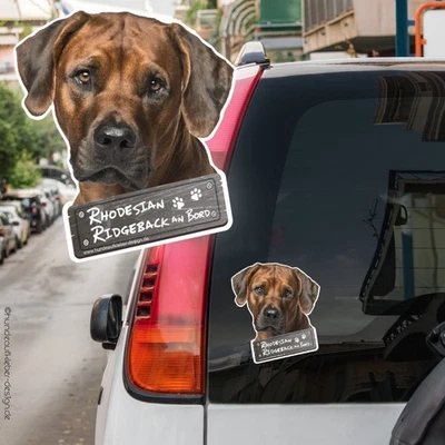 Rhodesian Ridgeback an Bord Autoaufkleber Hund 10cm o.  20cm | Aufkleber 0876 - Bild 1 von 2