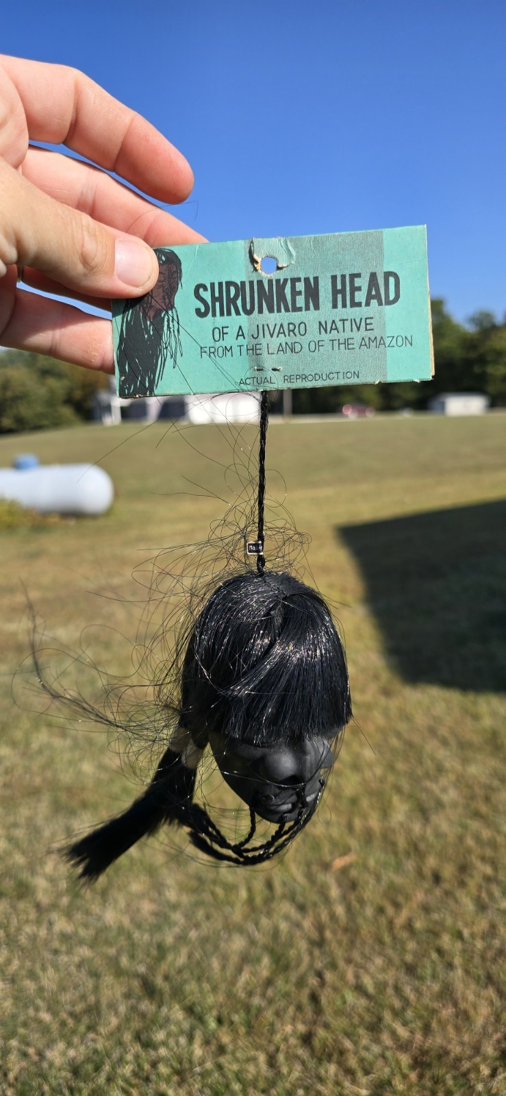 1960's SHRUNKEN HEAD With Package Jivaro Tribe Amazon  Creepy Spooky NOS 