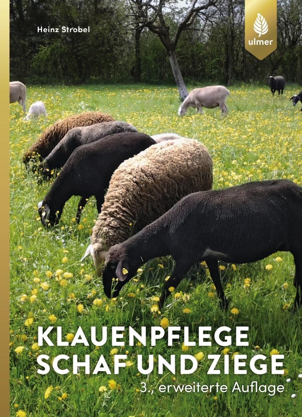 Klauenpflege Schaf Und Ziege, Heinz Strobel