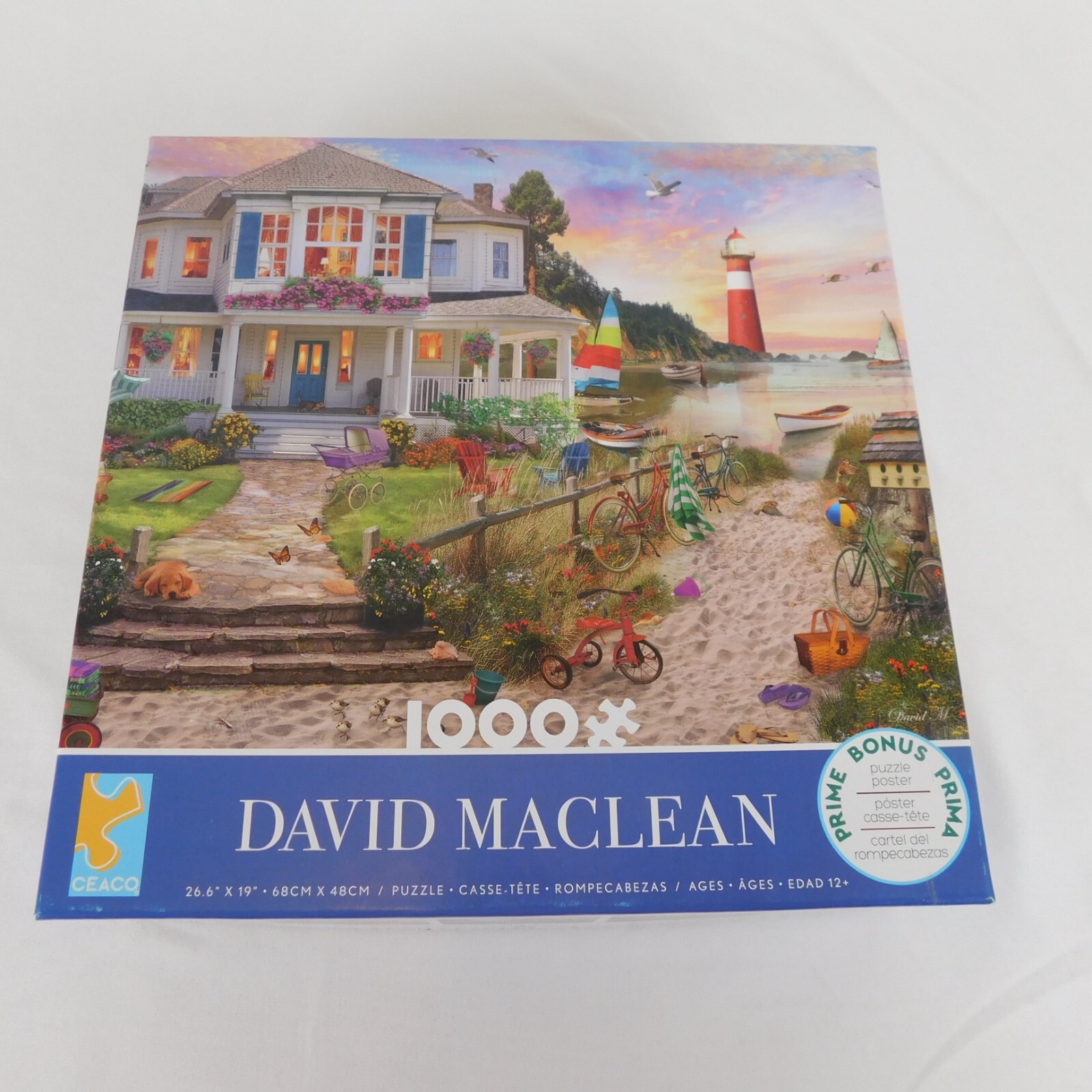 Ceaco Seawall Walk 1000-Piece Jigsaw Puzzle – David MacLean Artwork, Family Puzzle Night - View #10