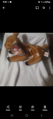 Ty Beanie Babies ''Whisper '' 1998 Laying down Fawn Baby Deer with spots    MWMT's