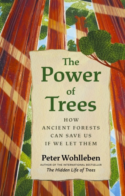 The Power of Trees by Peter Wohlleben, Jane Billinghurst - - Image 8