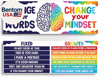 2 Large Growth Mindset Posters - 13.5''X39'' Classroom Decor Banners Bulletin Posi