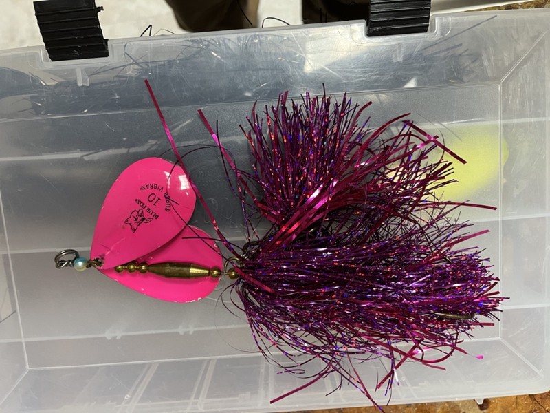Musky bucktail spinner Tinsel #10 Blade Blue Fox 0.040