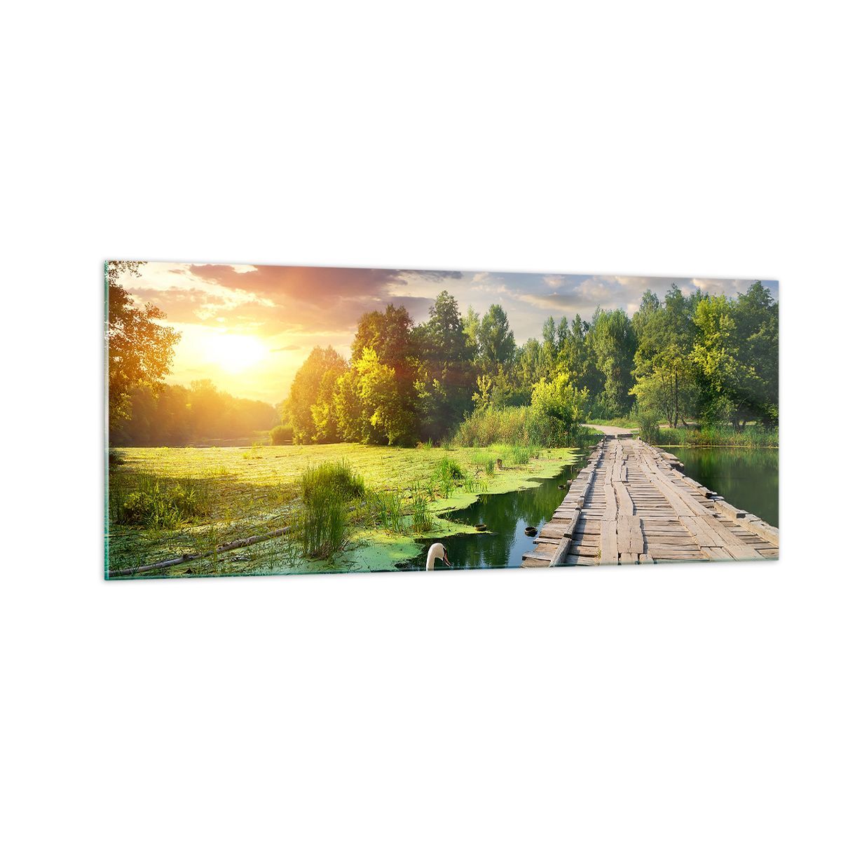 Quadro su Vetro 100x40cm architettura lungomare Cigno Paesaggio Stampe Murale