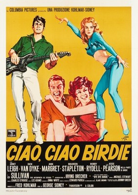 Bye Birdie 1963 2 Filmplakat Kunstdruck berühmt professionell Vintage-Stil Fandom