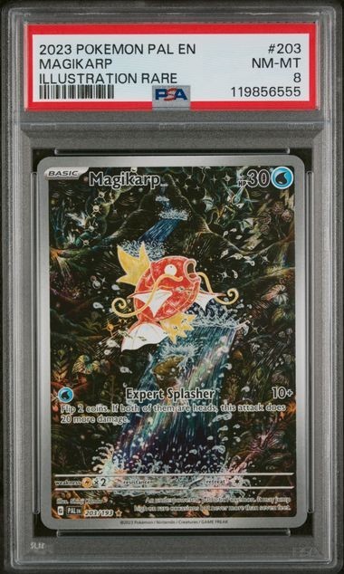 Pokemon Magikarp PSA 8 Holo Illustration Rare Paldea Evolved #203/193 EN 2023