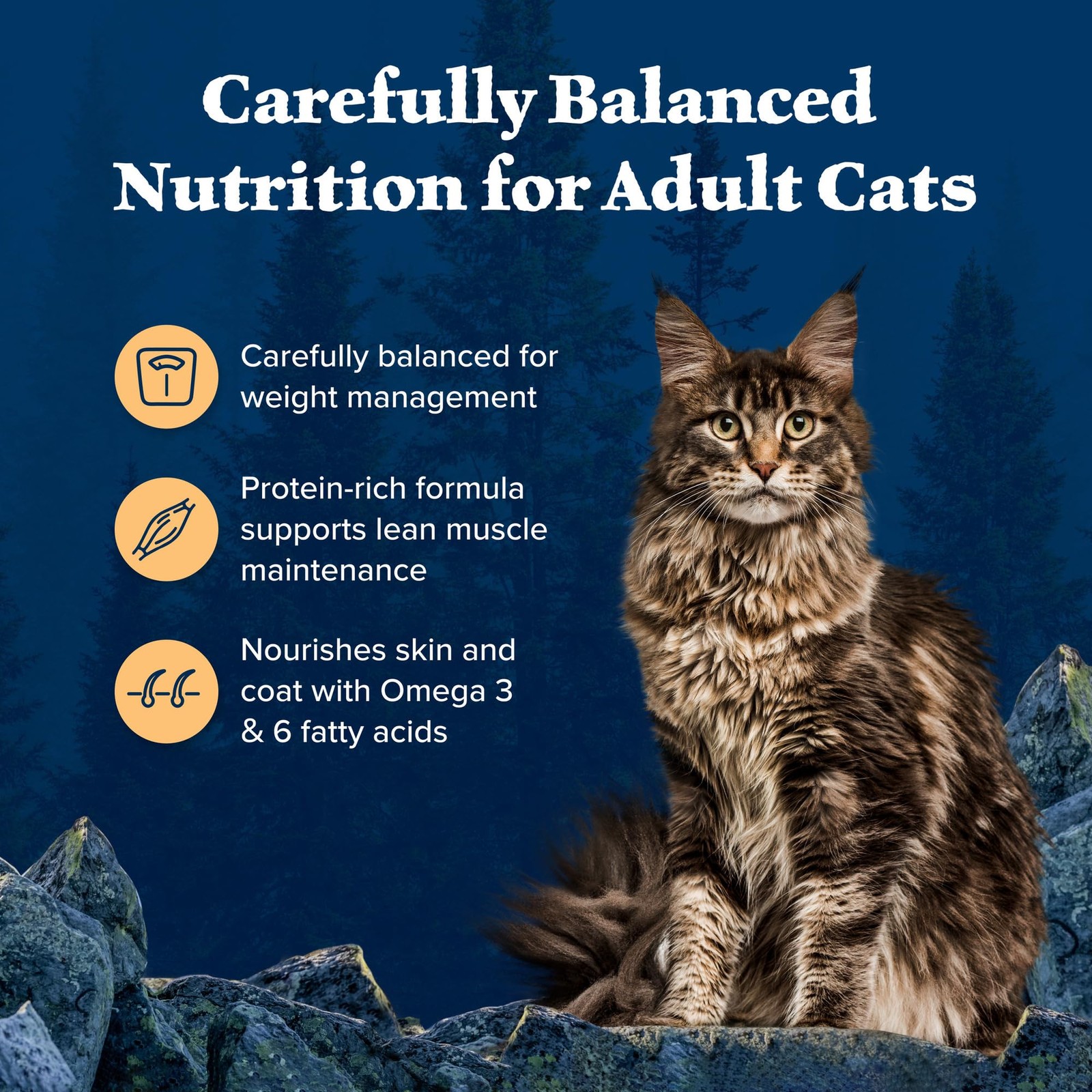 Blue Buffalo Wilderness Adult Cat Food - High-Protein, Grain-Free, Real Chicken