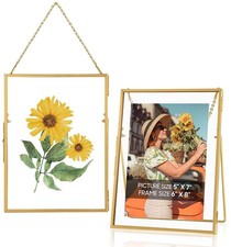 Gold Floating 5x7 Picture Frame Set of 2, Hanging Glass Pressed Flower Pictur...