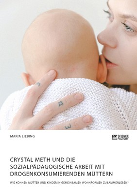 Crystal Meth und die sozialpädagogische Arbeit mit d[...] | Buch | 9783964871527