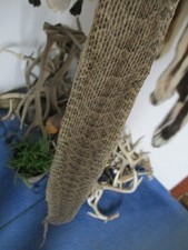 rattlesnake skin prairie rattle snake hide SO...