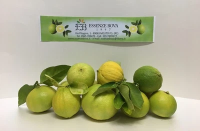 ESSENZE BOVA 1997 FRUTTO DI BERGAMOTTO - 10 KG