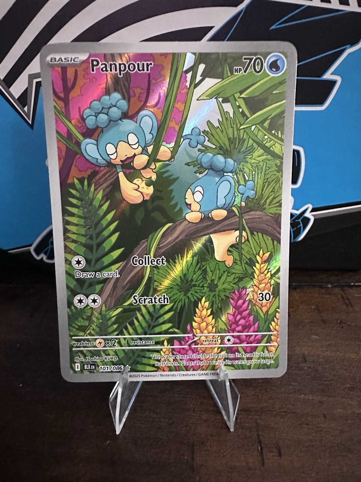 Panpour 101/086 - Black Bolt Pokemon Illustration Rare SV English NM