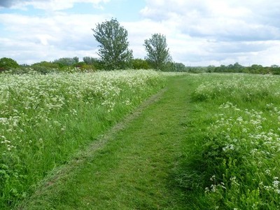 Photo A2 On Mill Hill, Mitcham Common Mitcham Common was once a much lar c2012
