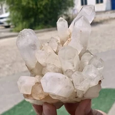 1.56LB Natural White Crystal Backbone Cluster Black Mineral Mud Specimen