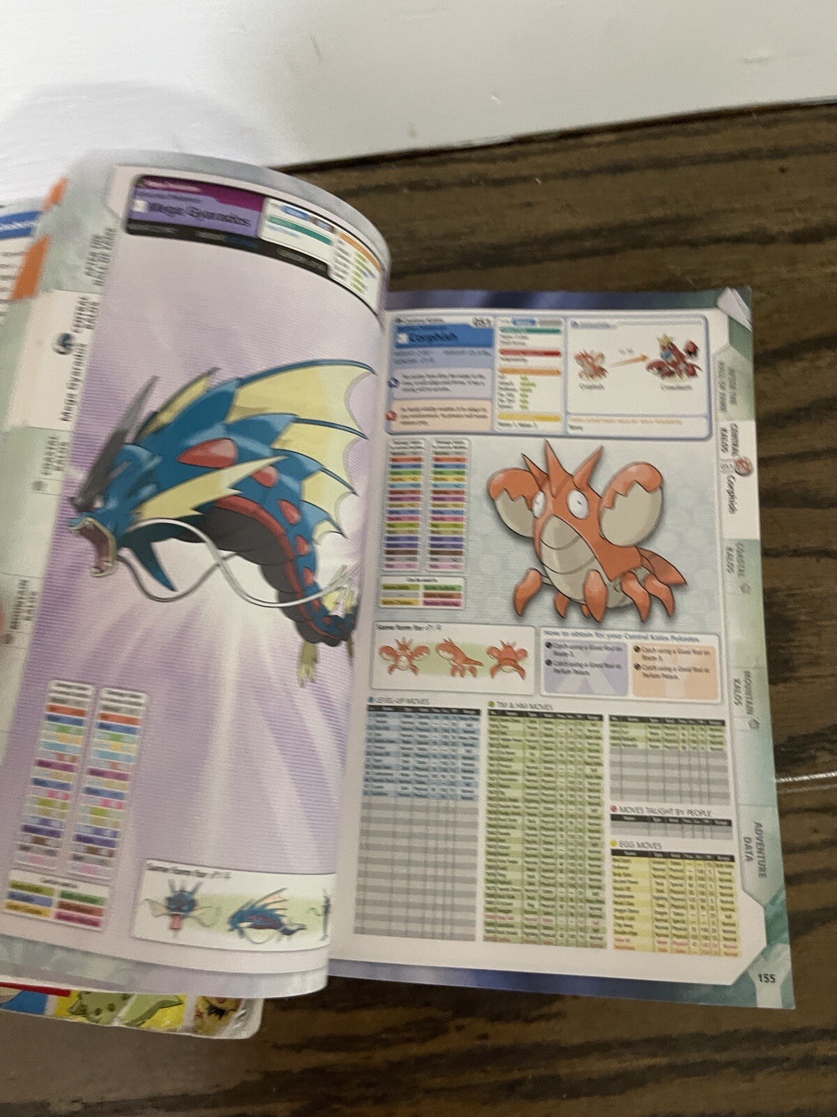 Best Buy: Pokémon X and Pokémon Y: The Official Kalos Region Pokédex (Game  Guide) Nintendo 3DS 9780804162579