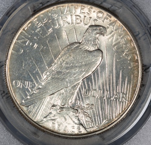 1927-P Peace Dollar PCGS MS64 Really Nice Luster! #D11NL - Picture 3 of 3