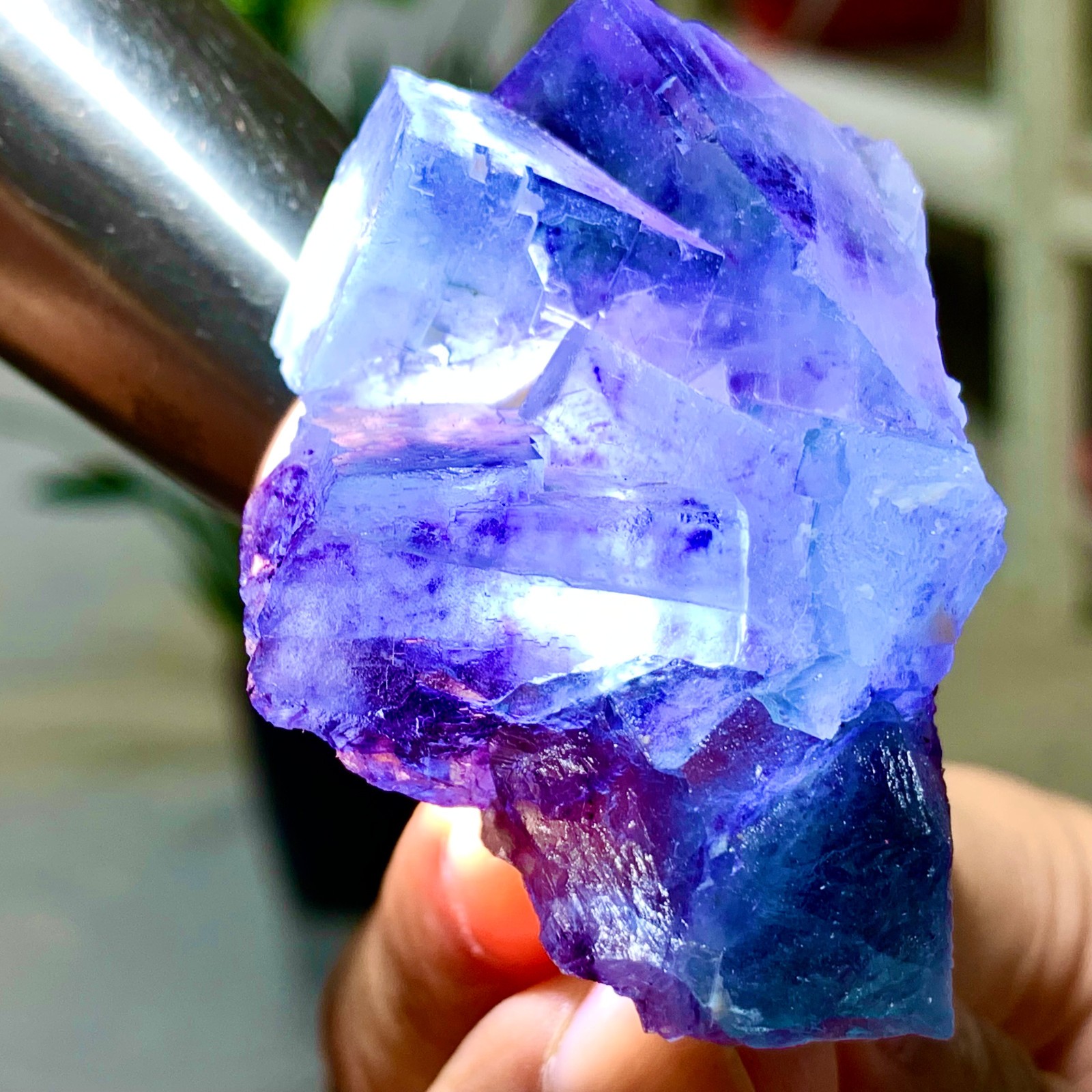 80G Natural Fluorite Crystal in Purple Blue Green Cubic Mineral Specimen