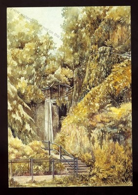 iw352 - I.O.W. - Wasserfall unten Shanklin Chine - Künstler M Owen - Postkarte 6''x4''