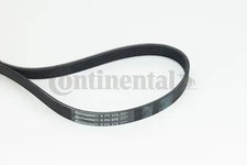 Multi-ribbed V-belt 6PK976 CONTINENTAL CTAM for ALFA ROMEO CITROËN PEUGEOT VW DS