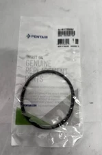 Pentair R172009Z ORing Rainbow Chlorinator O-Ring 343 Viton 3” Cap NEW!