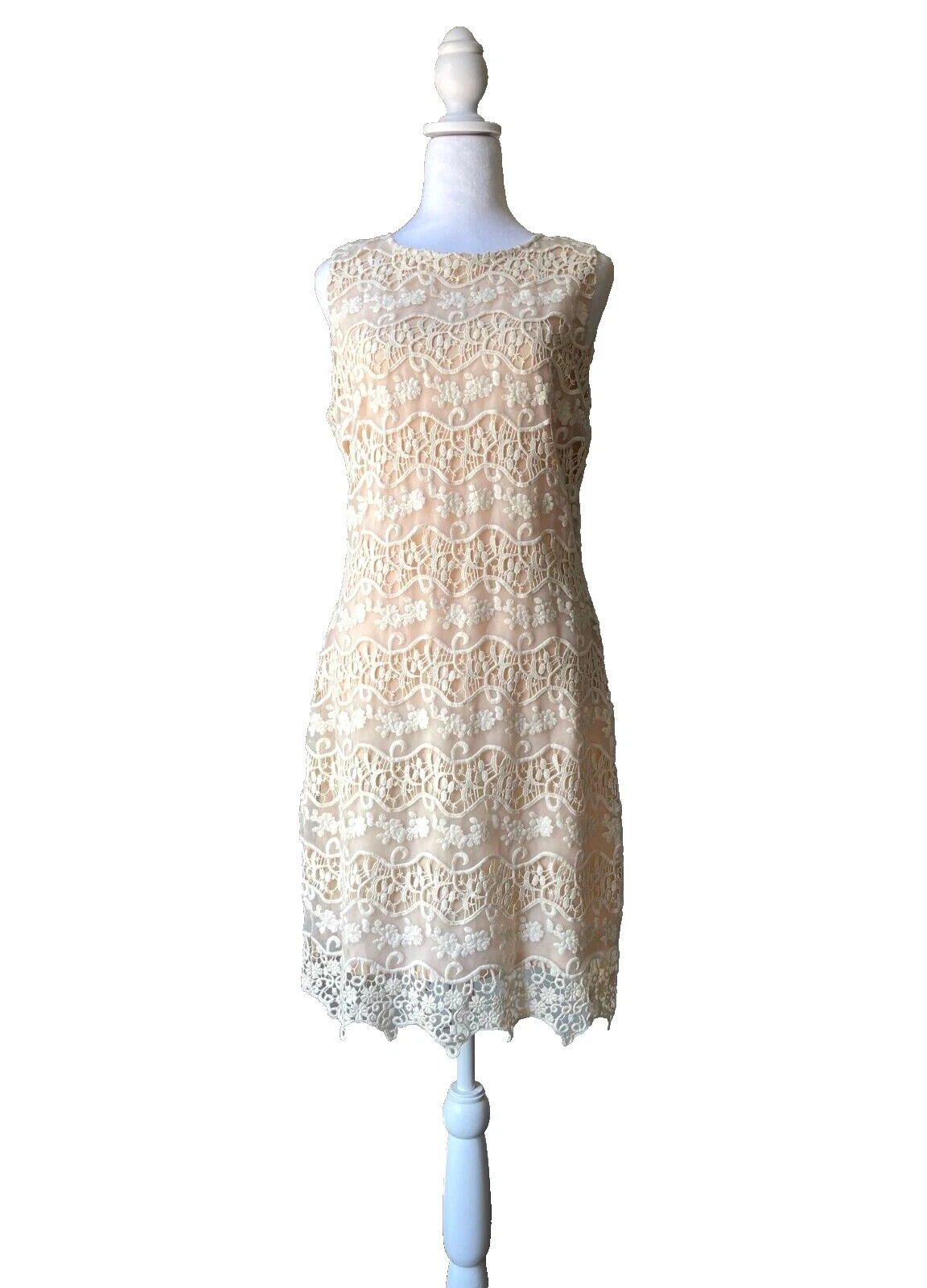 Badgley Mischka Cotton Clothing for Women