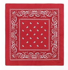 NEW MEN'S PREMIUM 12 PACK COTTON PAISLEY HEAD WRAP SCARF WRISTBAND BANDANA RED