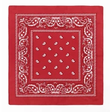 NEW MEN'S PREMIUM 12 PACK COTTON PAISLEY HEAD WRAP SCARF WRISTBAND BANDANA RED