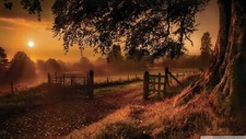 Landscape fall nature outdoors sun trees Custom Gaming Mat Desk